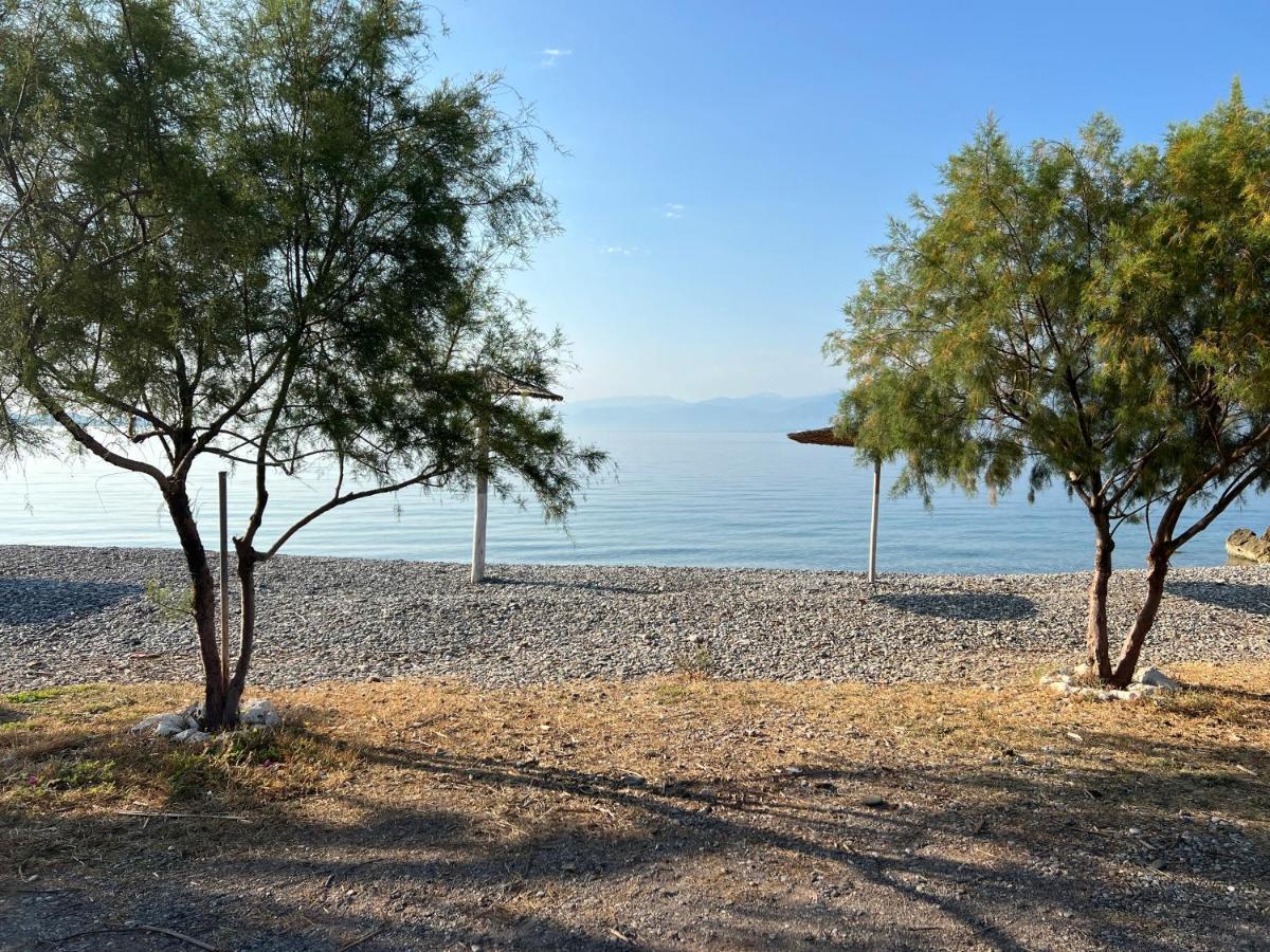Pebble Apartments Marathiás Dış mekan fotoğraf