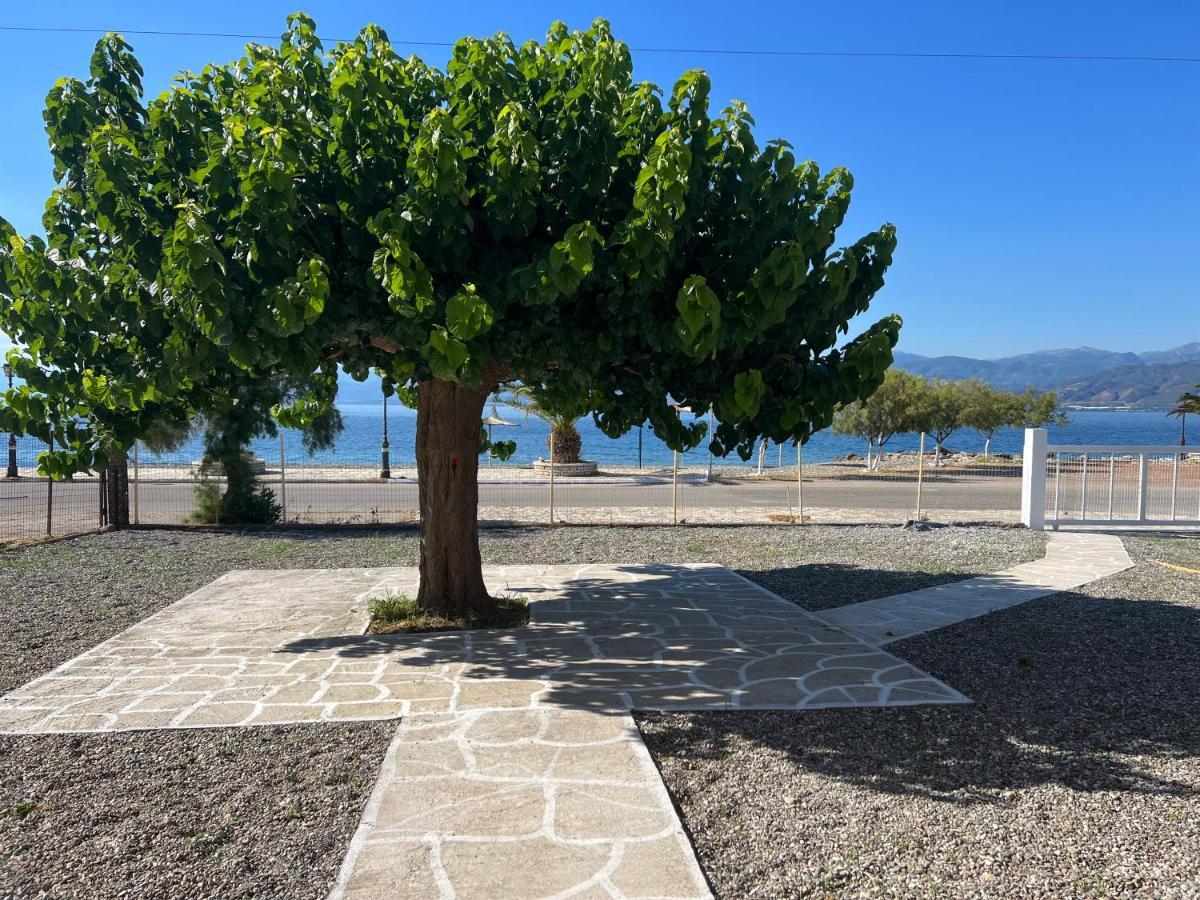 Pebble Apartments Marathiás Dış mekan fotoğraf
